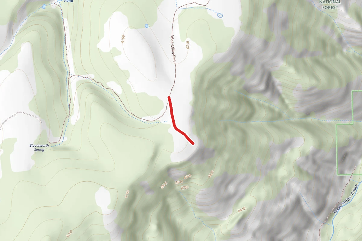 South Miller Rim Trail