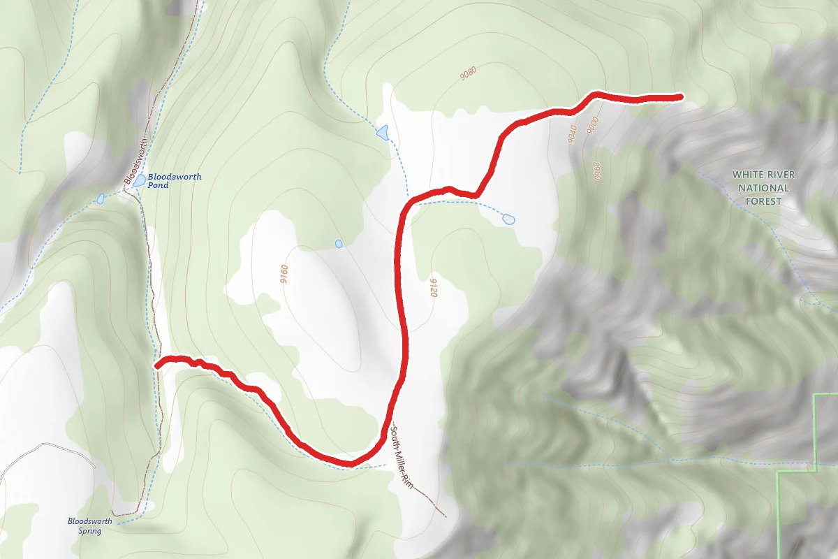 West Miller Rim Trail