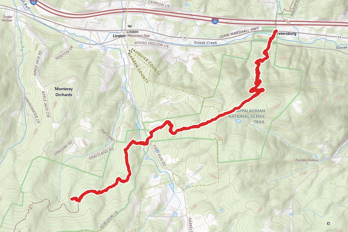 Trumbo Hollow via Appalachian Trail