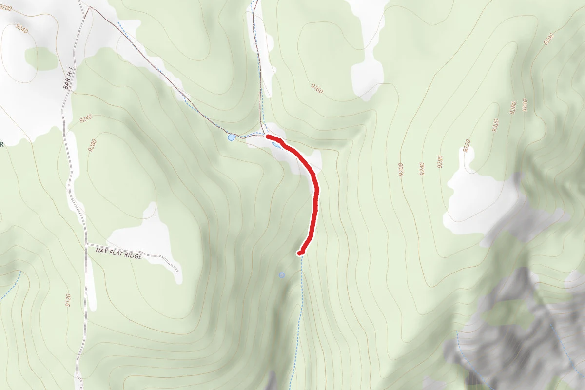 Cold Spring Spur Trail