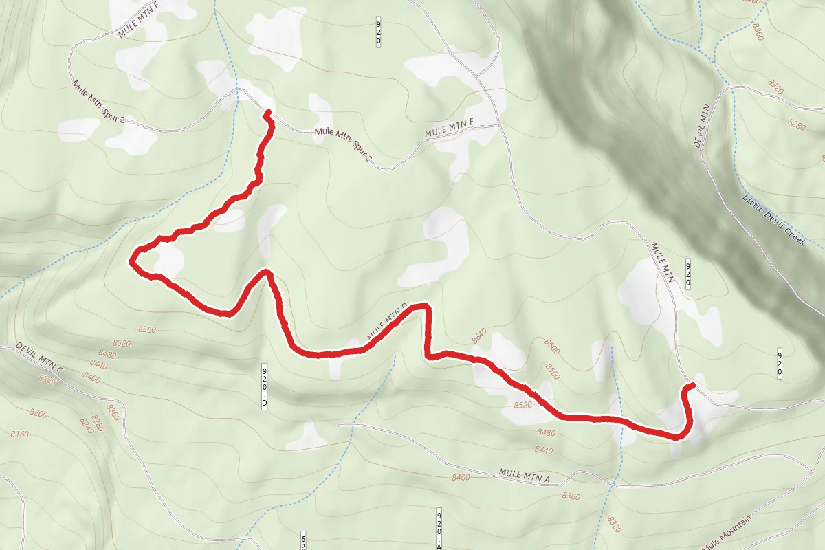 Mule Mountain Spur 1 Trail