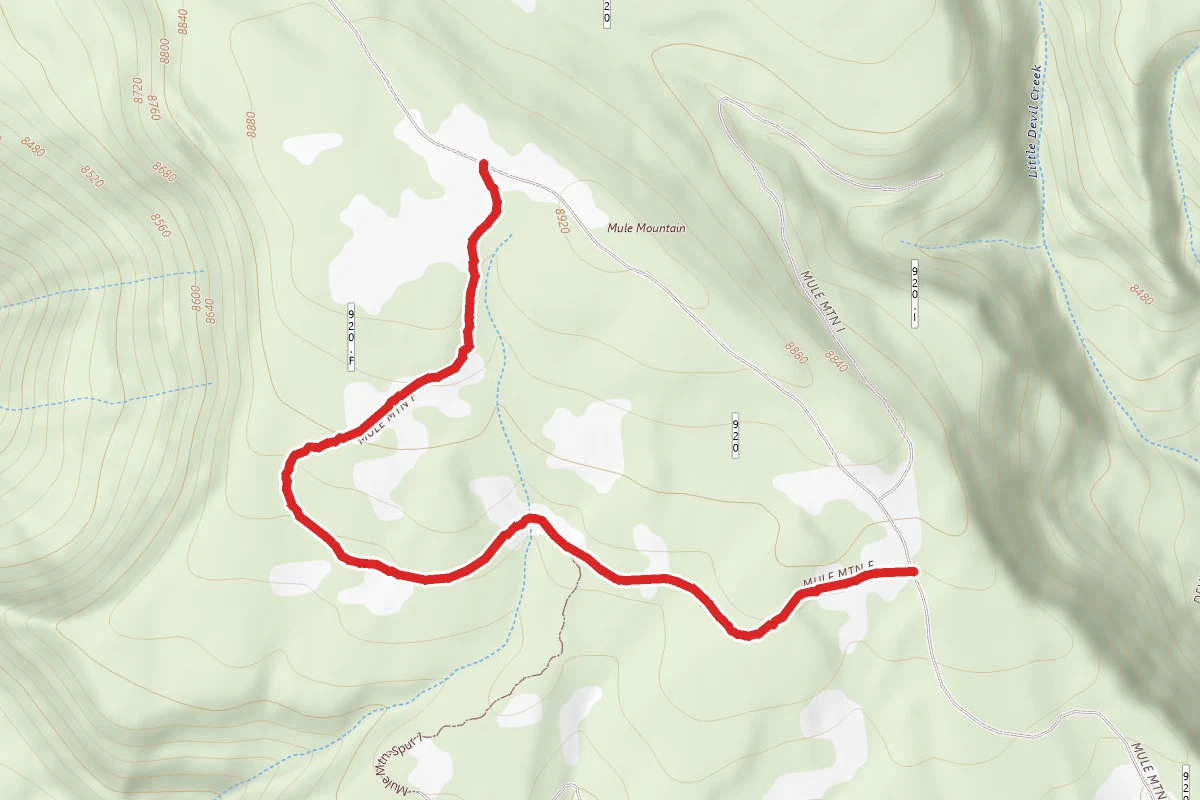 Mule Mountain Spur 2 Trail