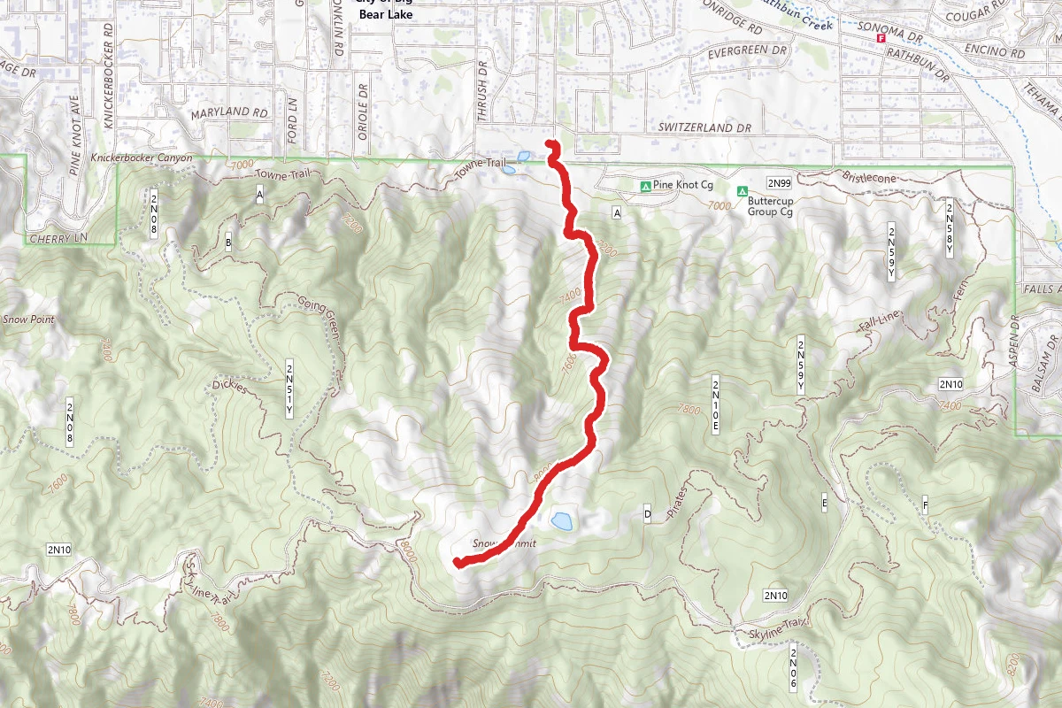 Snow Summit Log Chute Loop