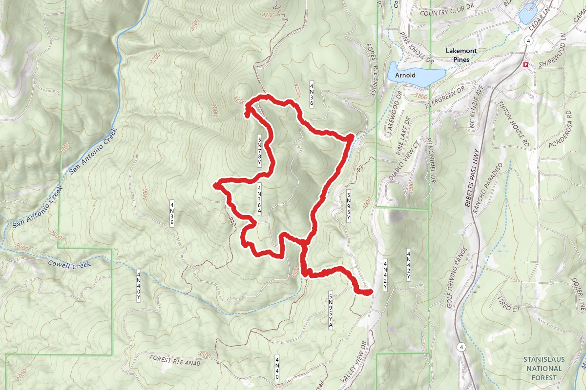 Cougar Rock Loop via Cowell Creek and Arnold Rim Trail