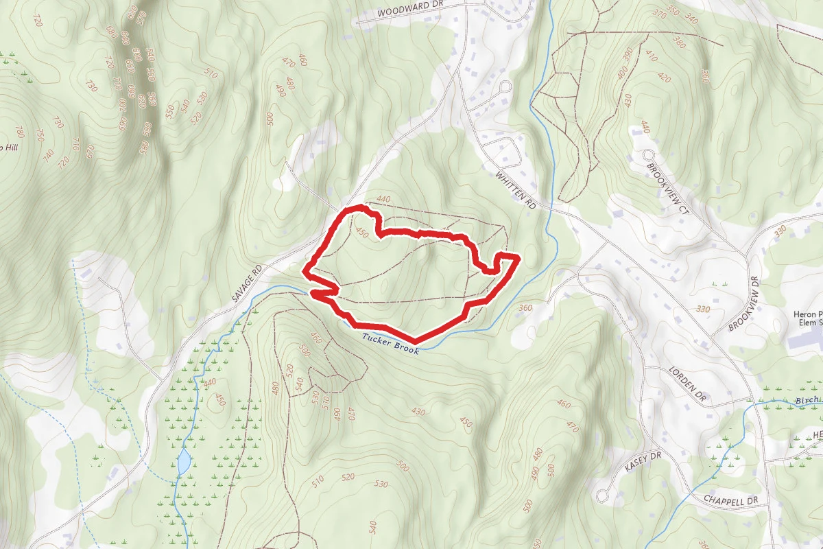 Tucker Brook Loop