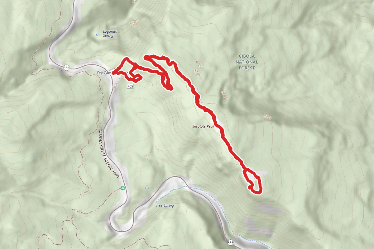 Tecolote Trail