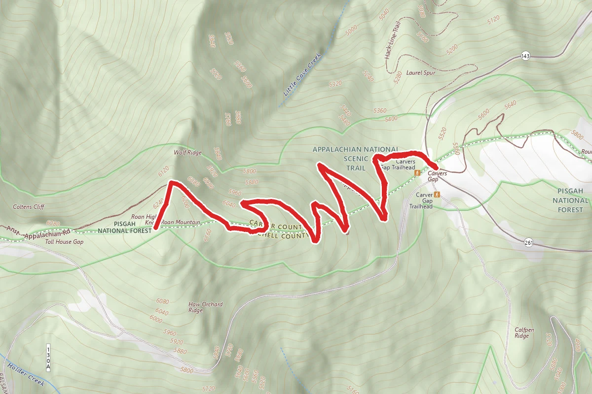 Roan Knob via Appalachian Trail