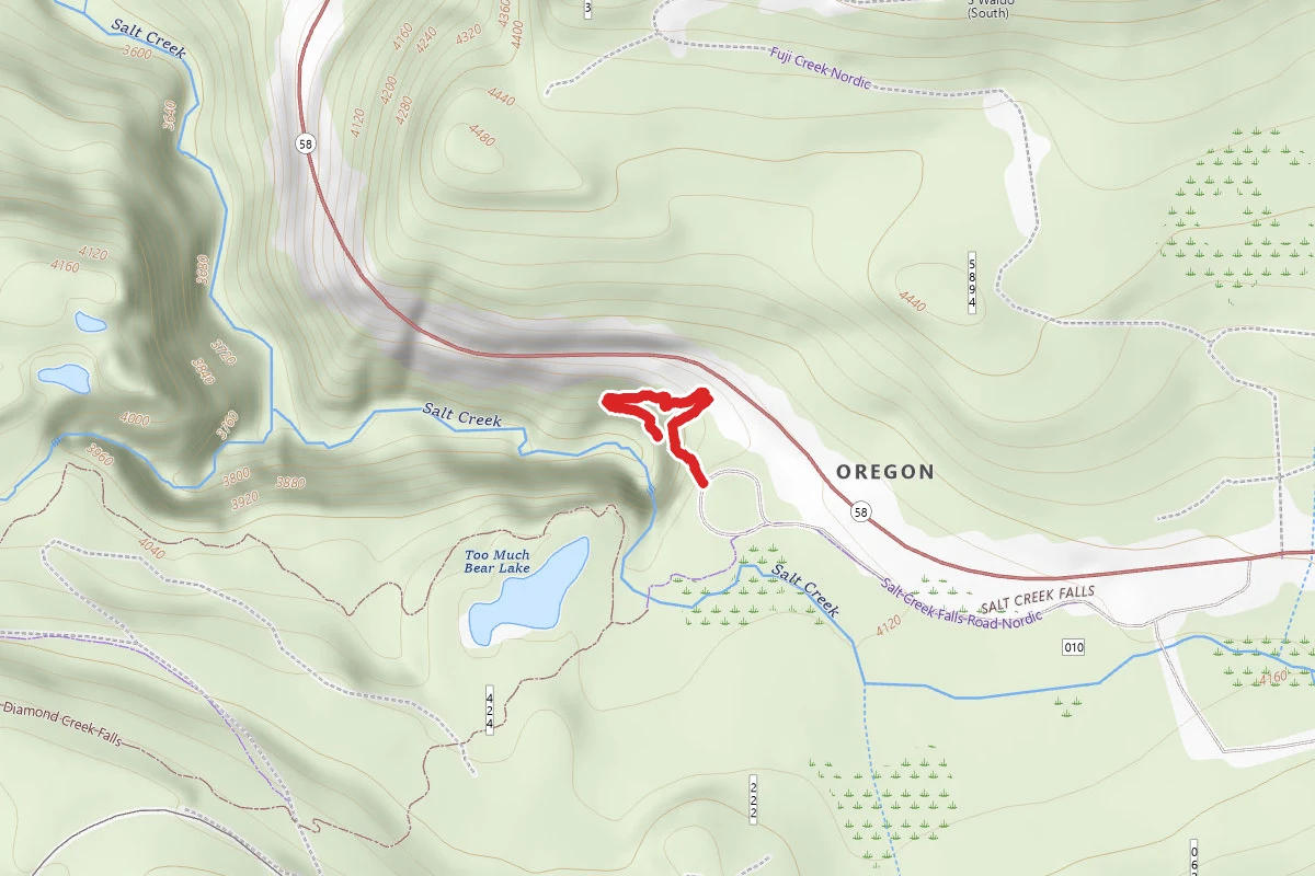 Salt Creek Falls Trail