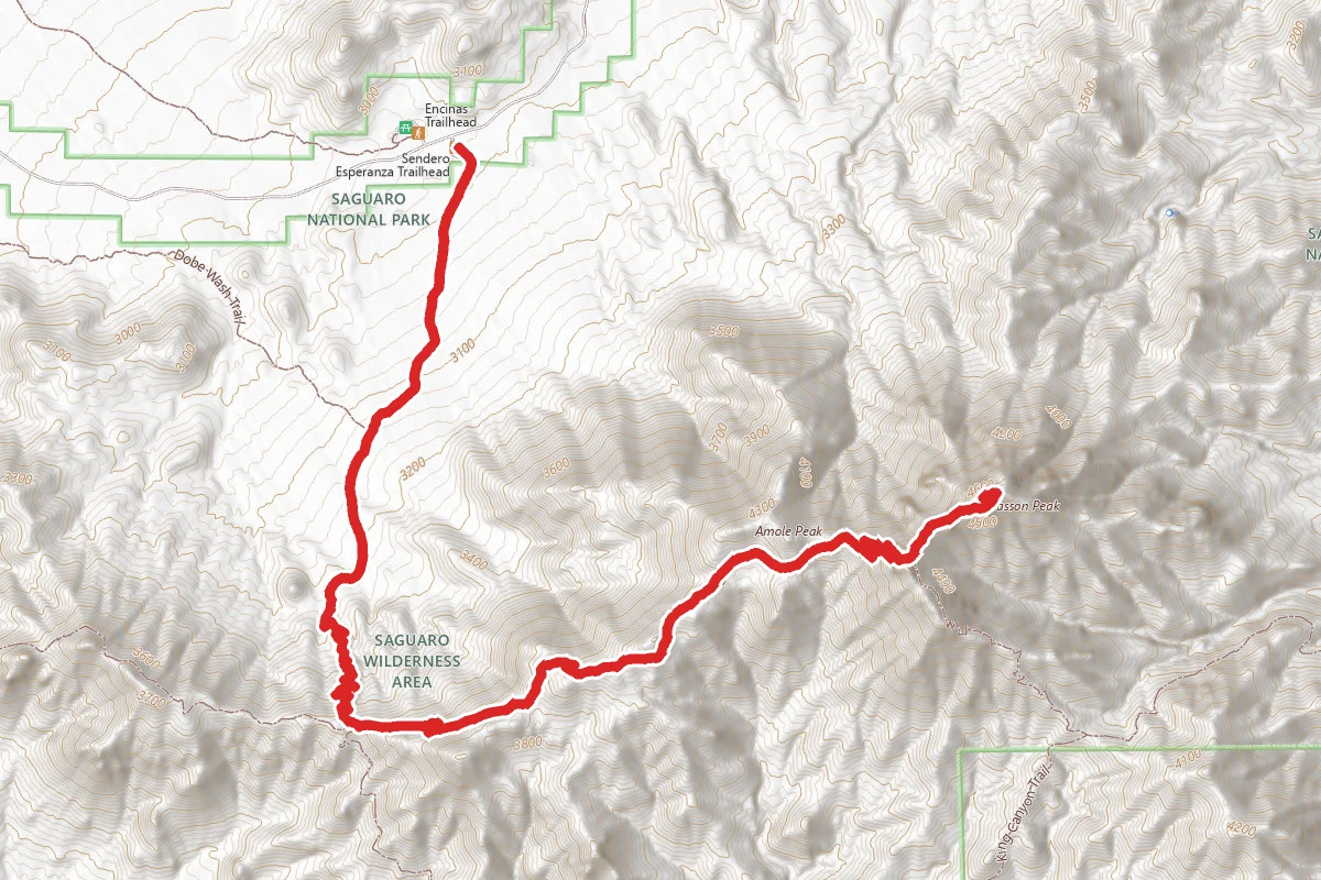 Wasson Peak via Sendero Esperanza and Hugh Norris Trail