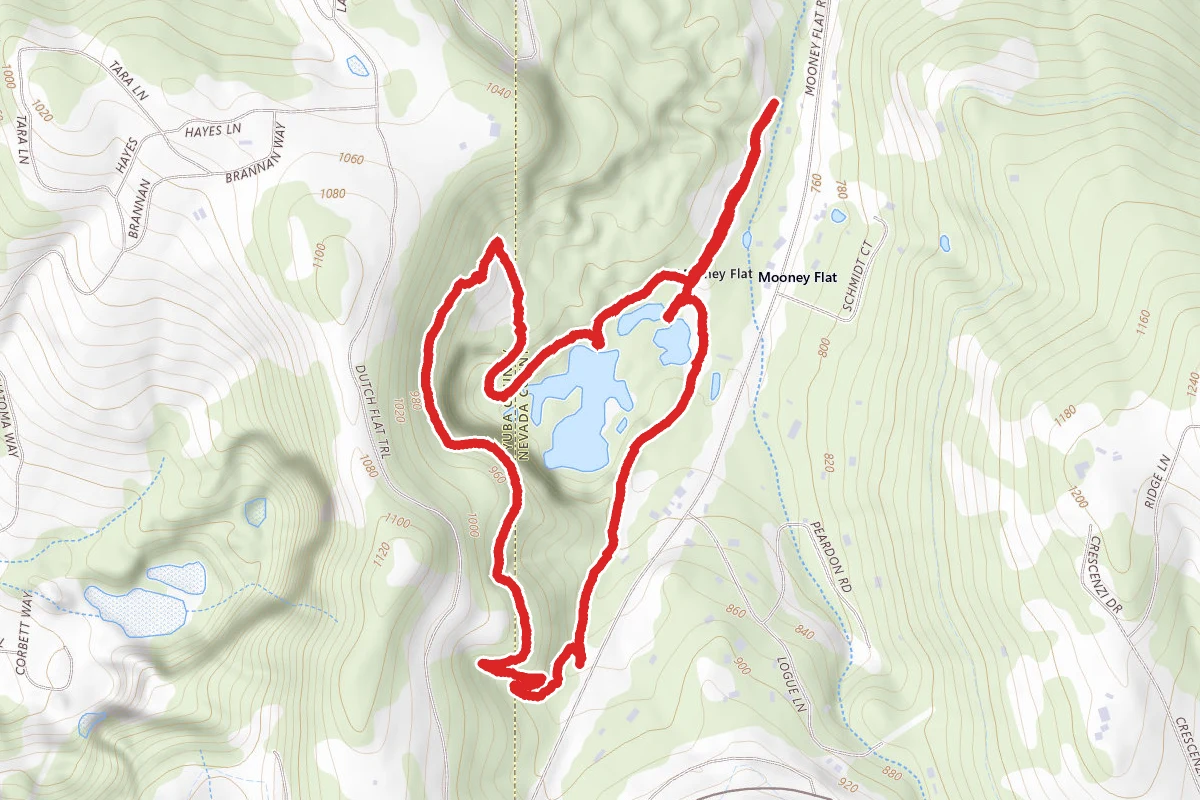 Black Swan Preserve Loop