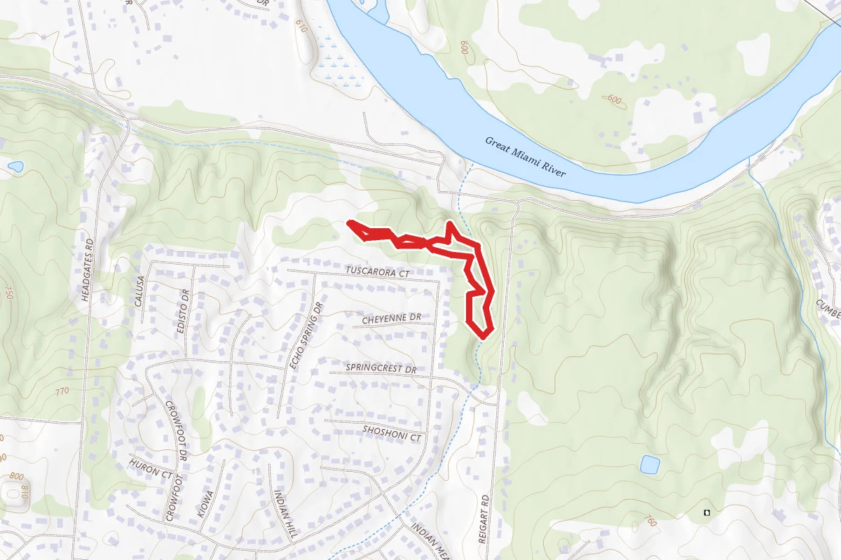 Rentschler Forest Trail