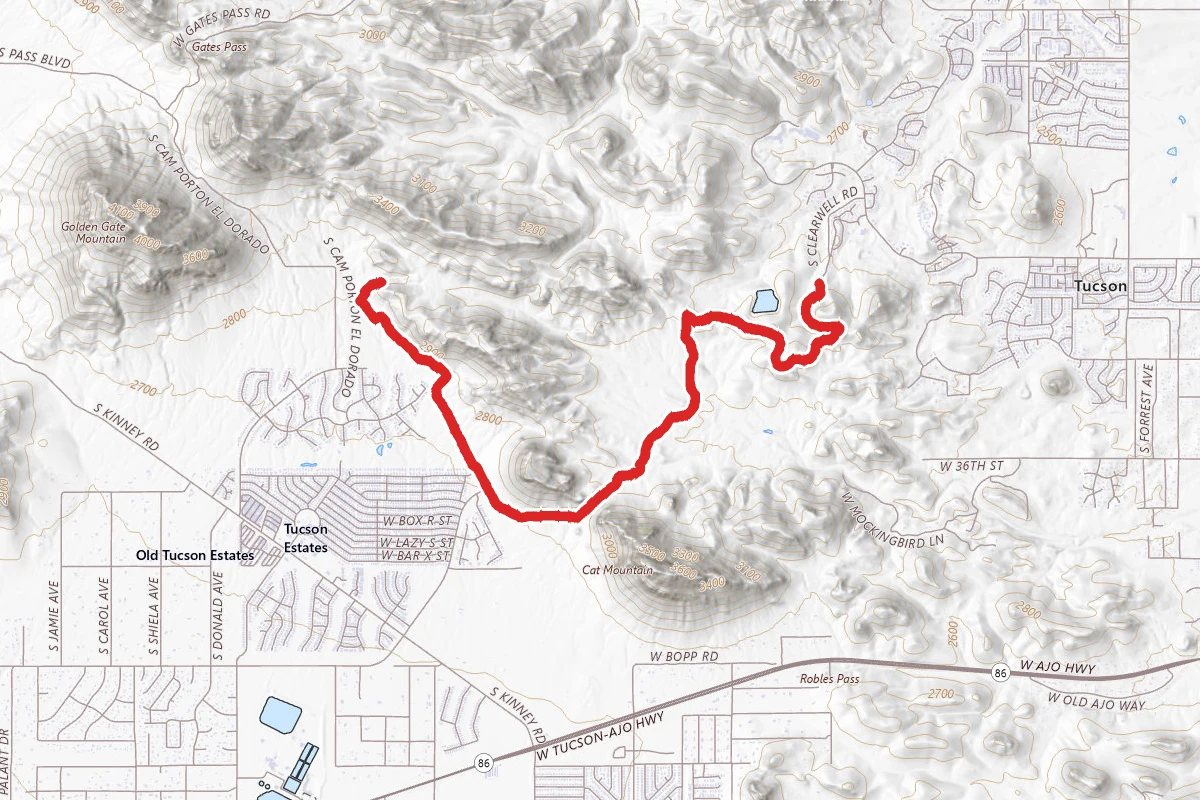Rock Wren and Starr Pass Trail