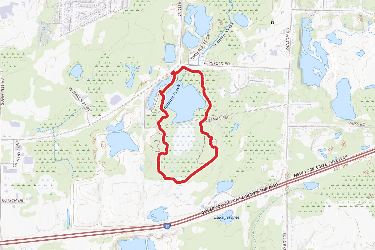 Tillman Road Wildlife Management Area Trail