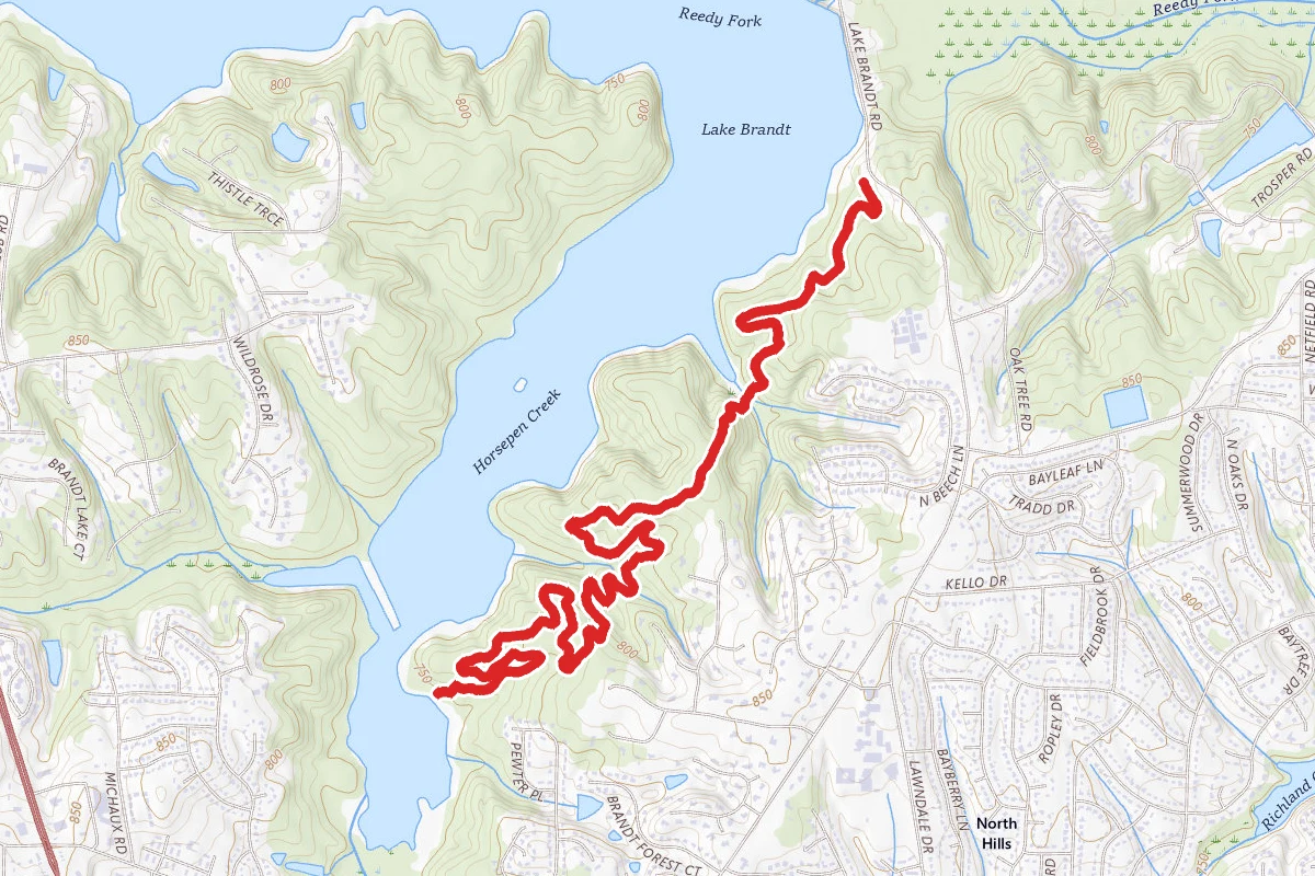 Wild Turkey Trail