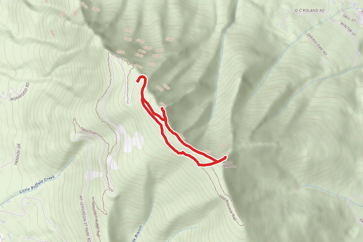 Summit and Rhododendron Trails Loop