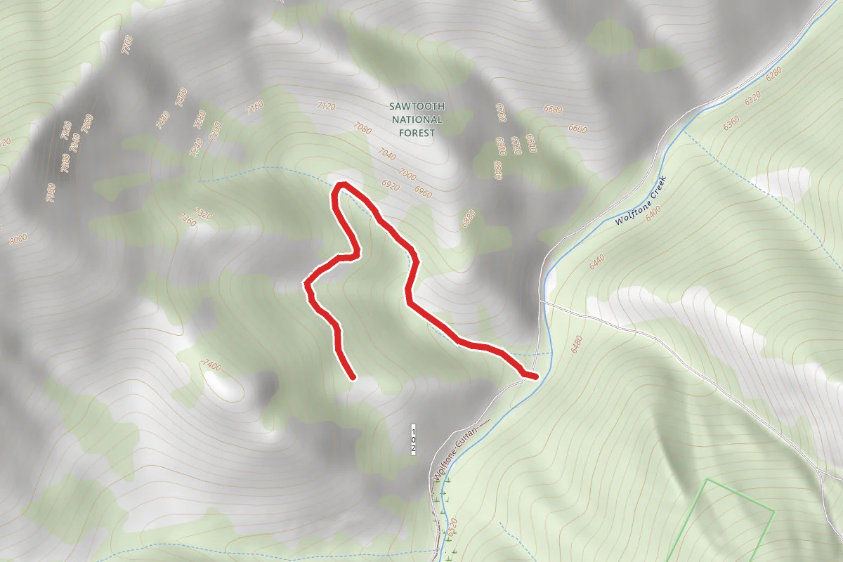Wolftone Logging Road Trail