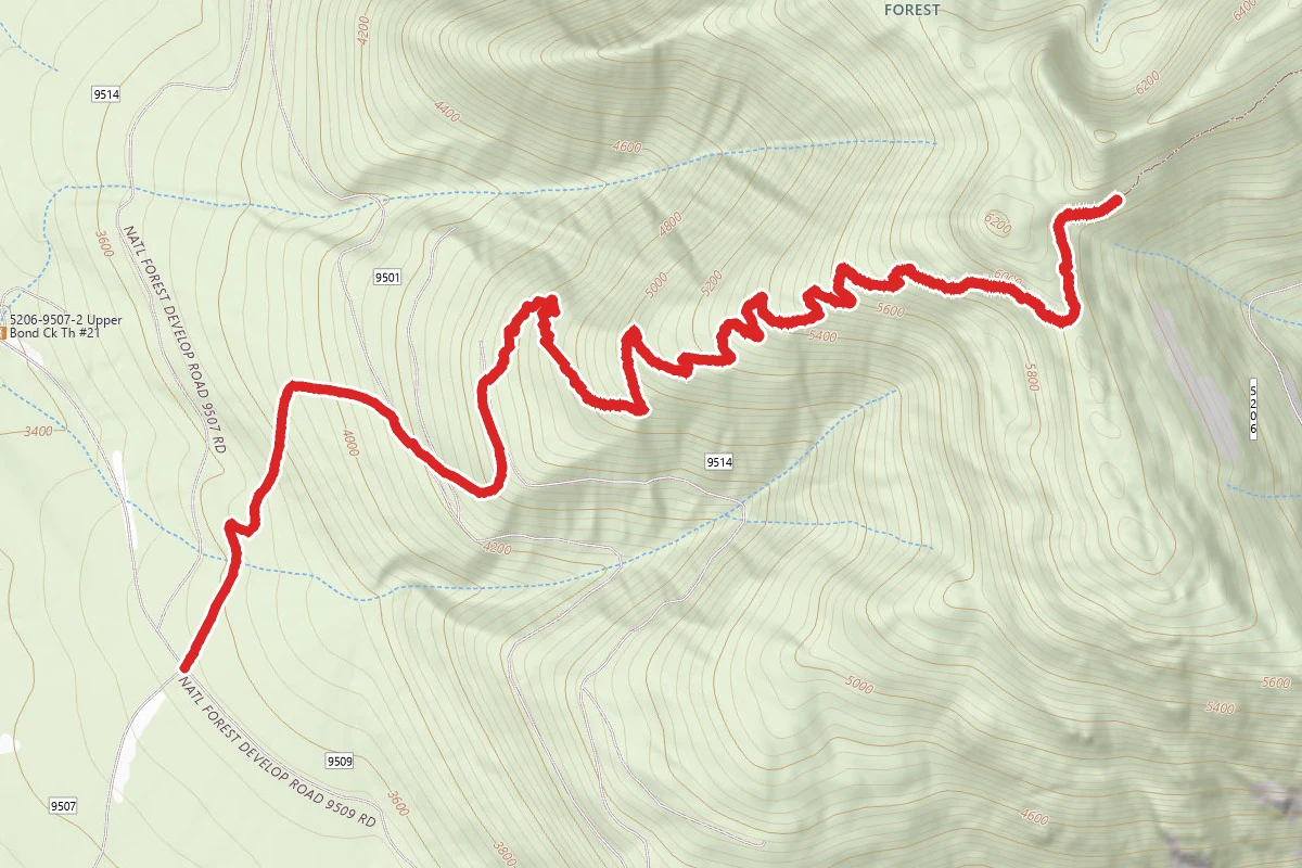 Wire Trail