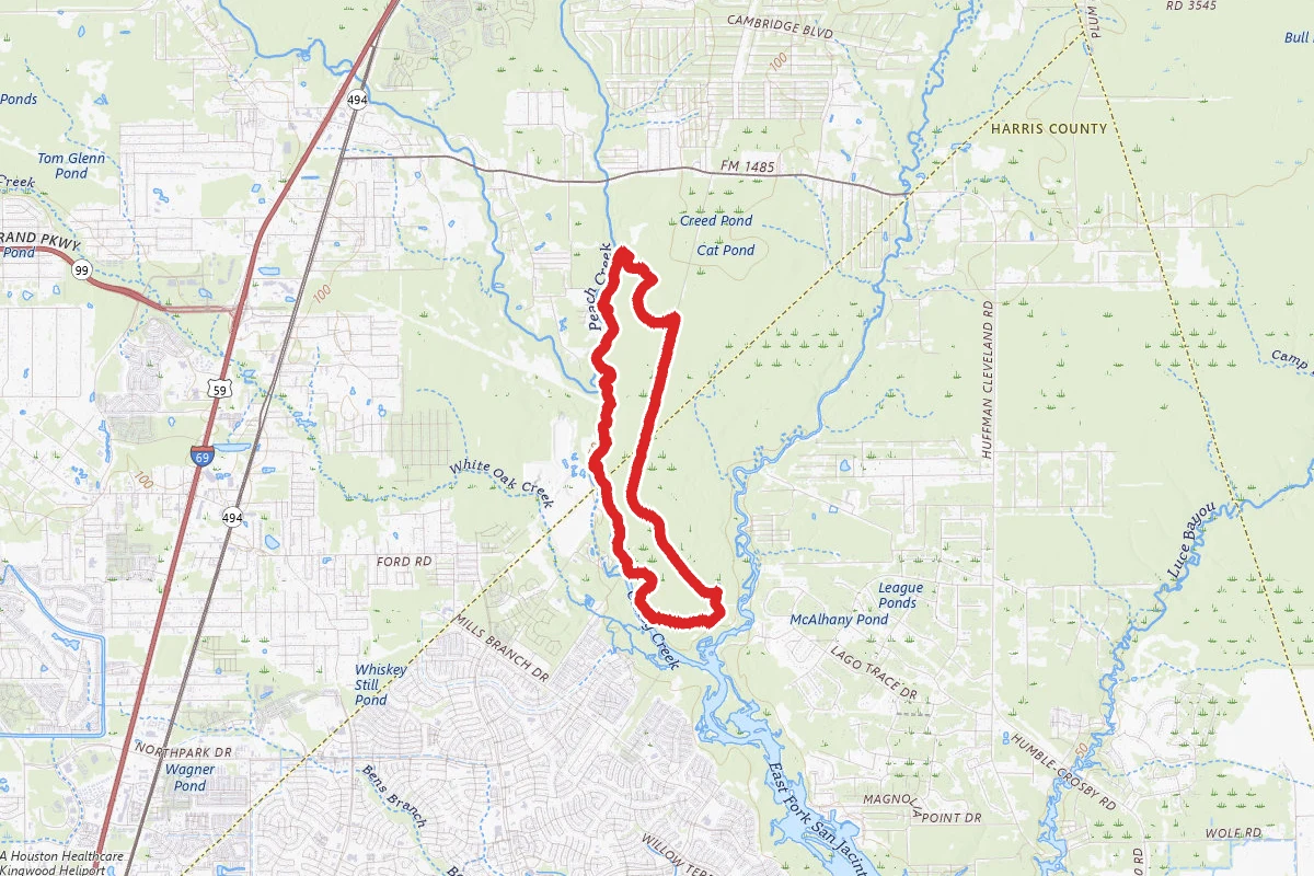 Ameri Trail Forest Loop