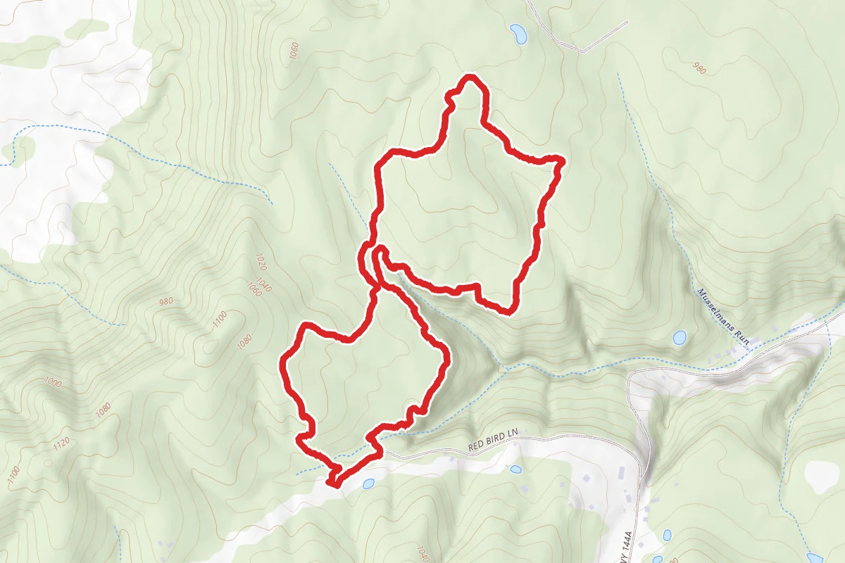 Hoggard Trail
