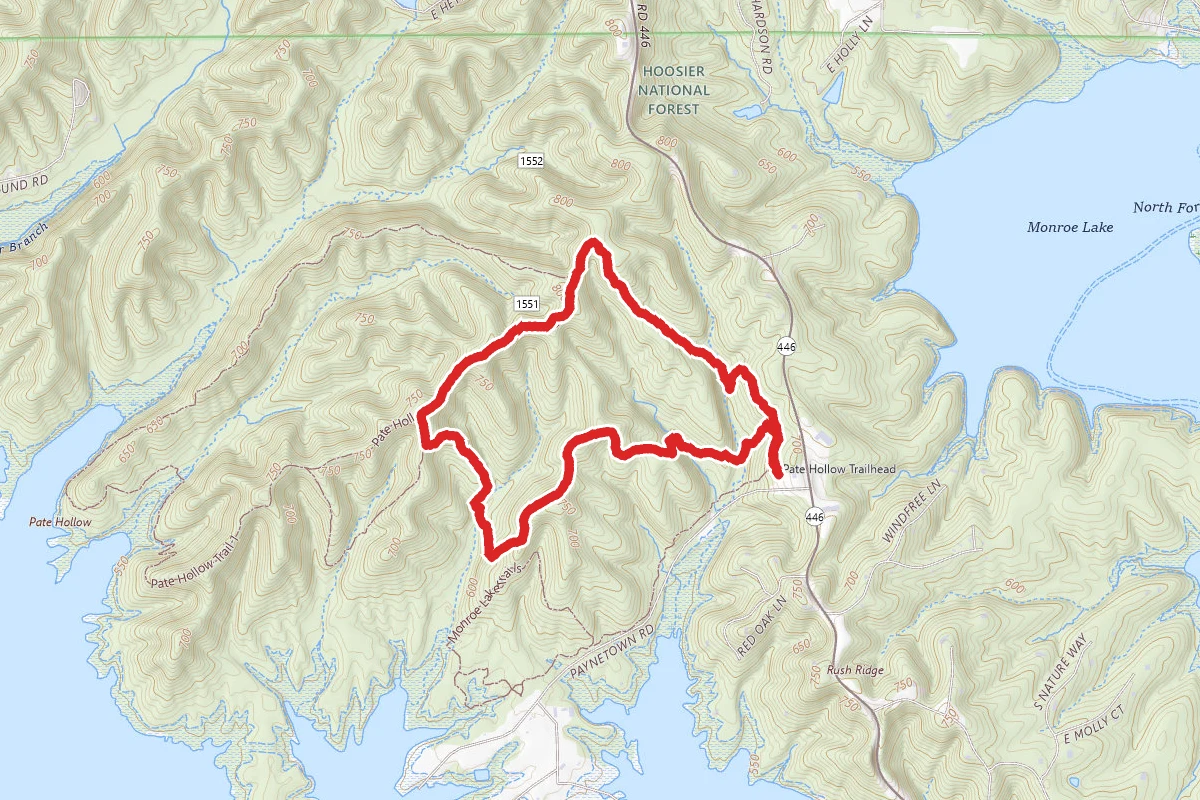 Pate Hollow Short Loop