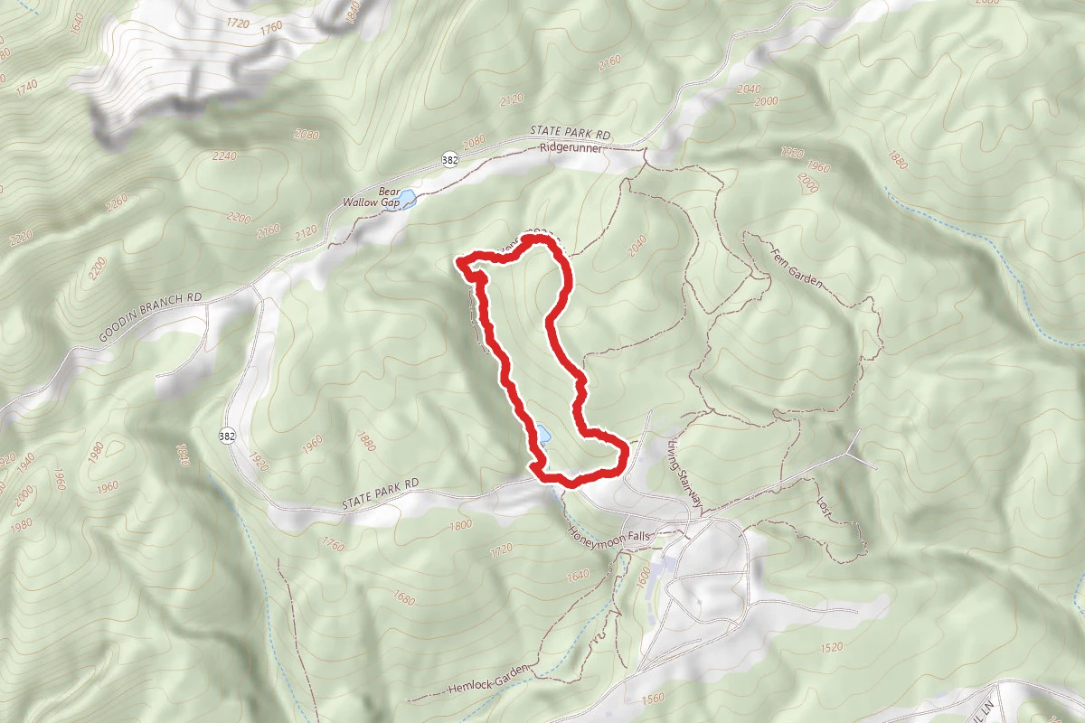 Honeymoon Falls Trail