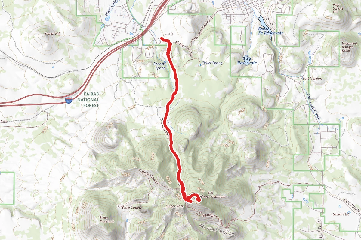 Bill Williams Mountain Trail