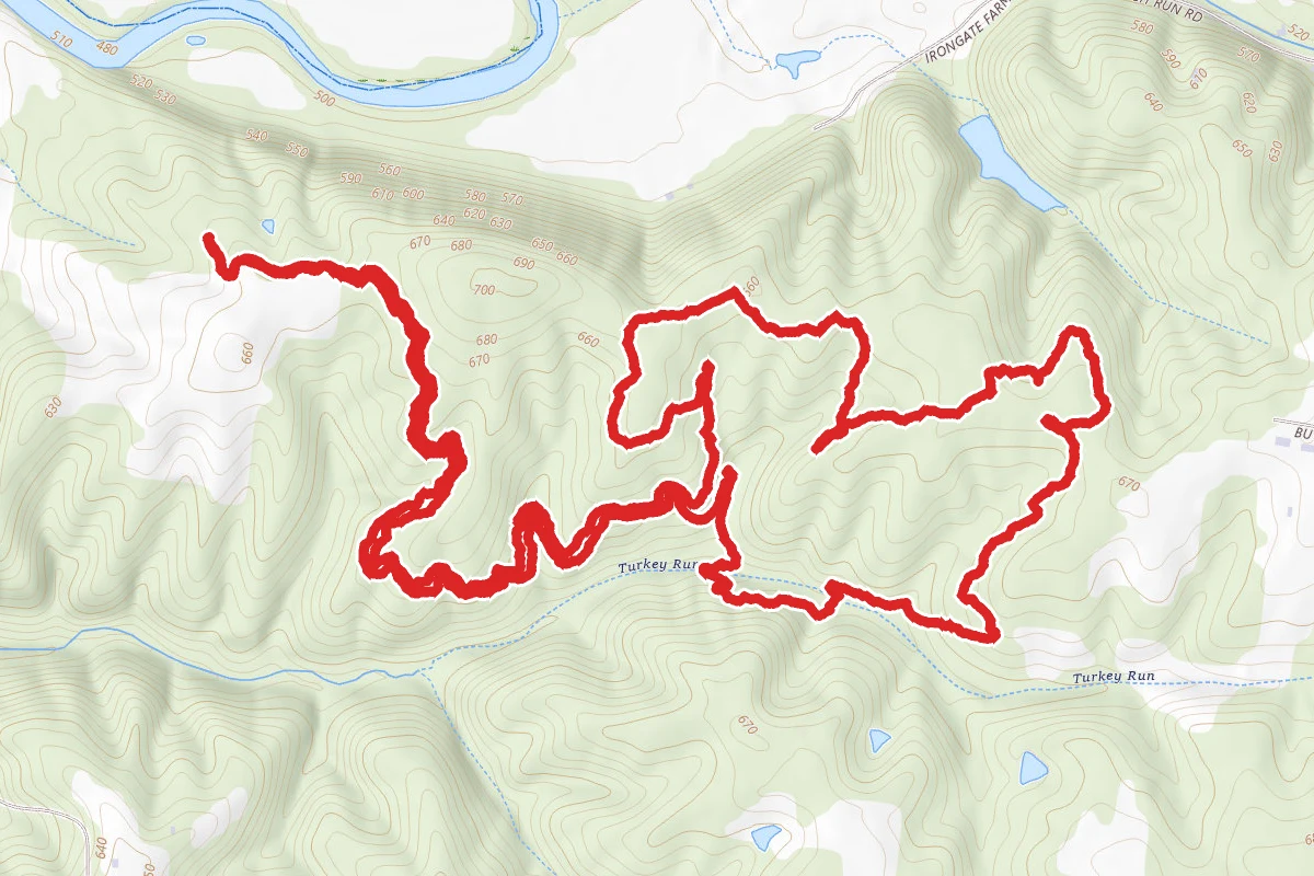 Paw Paw and Chinkapin Trail Loop