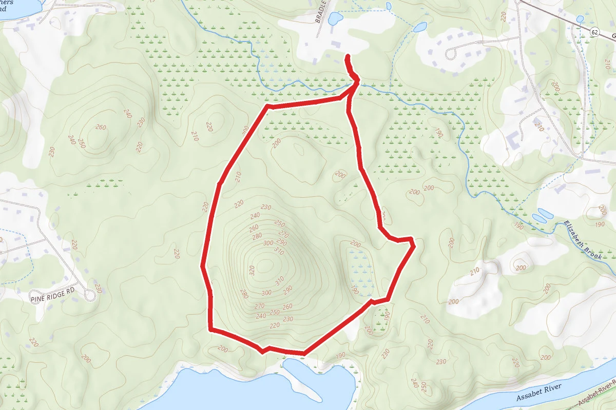 Stow Town Forest Blue Loop