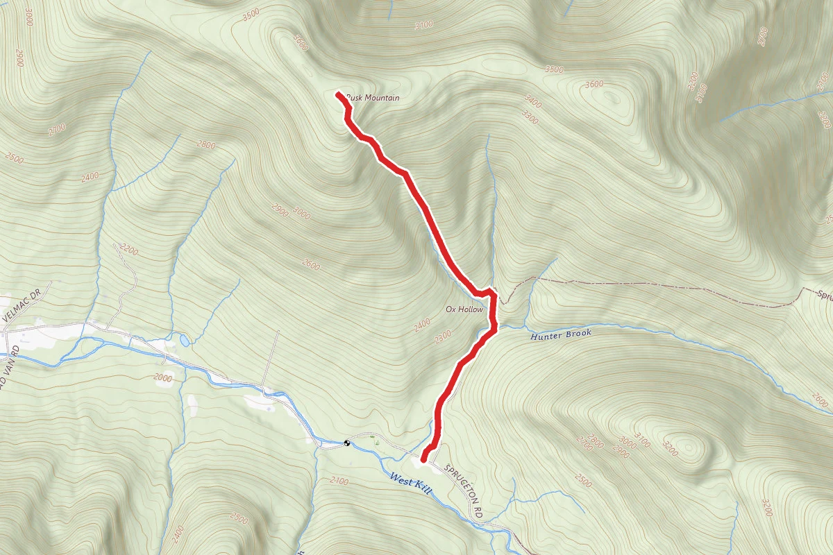 Rusk Mountain Bushwack