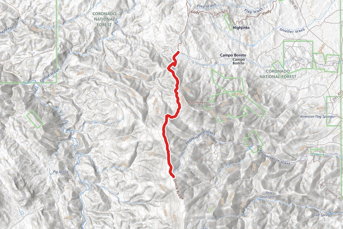 Oracle Ridge