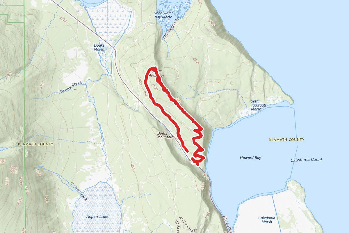 Spence Mountain Loop