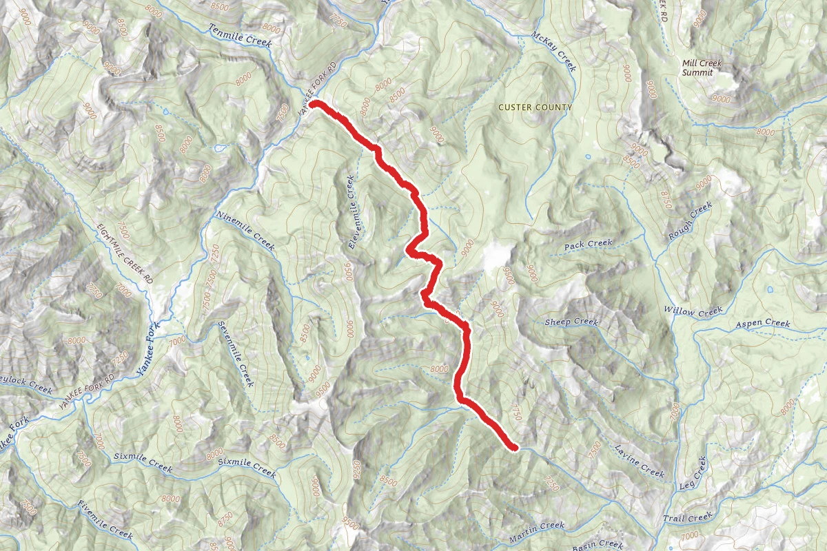 Eleven Mile-Martin Creek