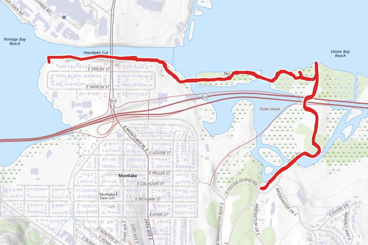 Foster Island Trail