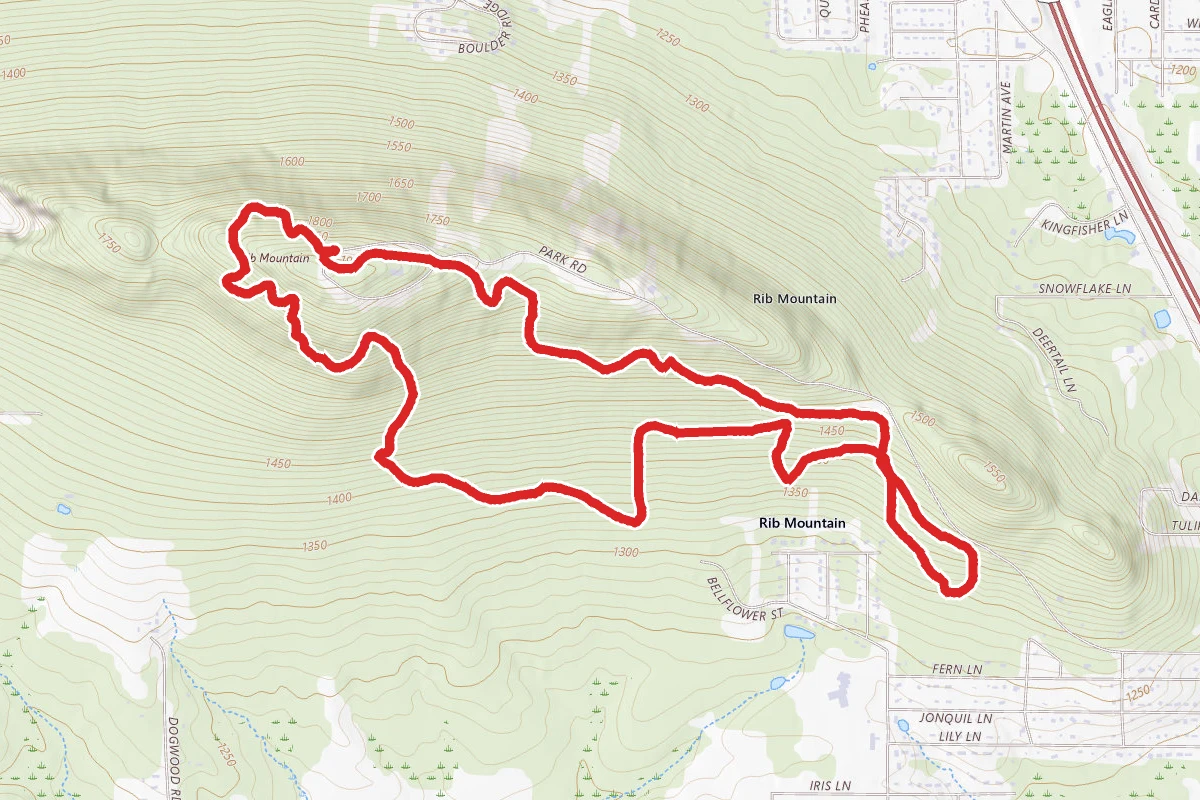 Rib Mountain Yellow Trail