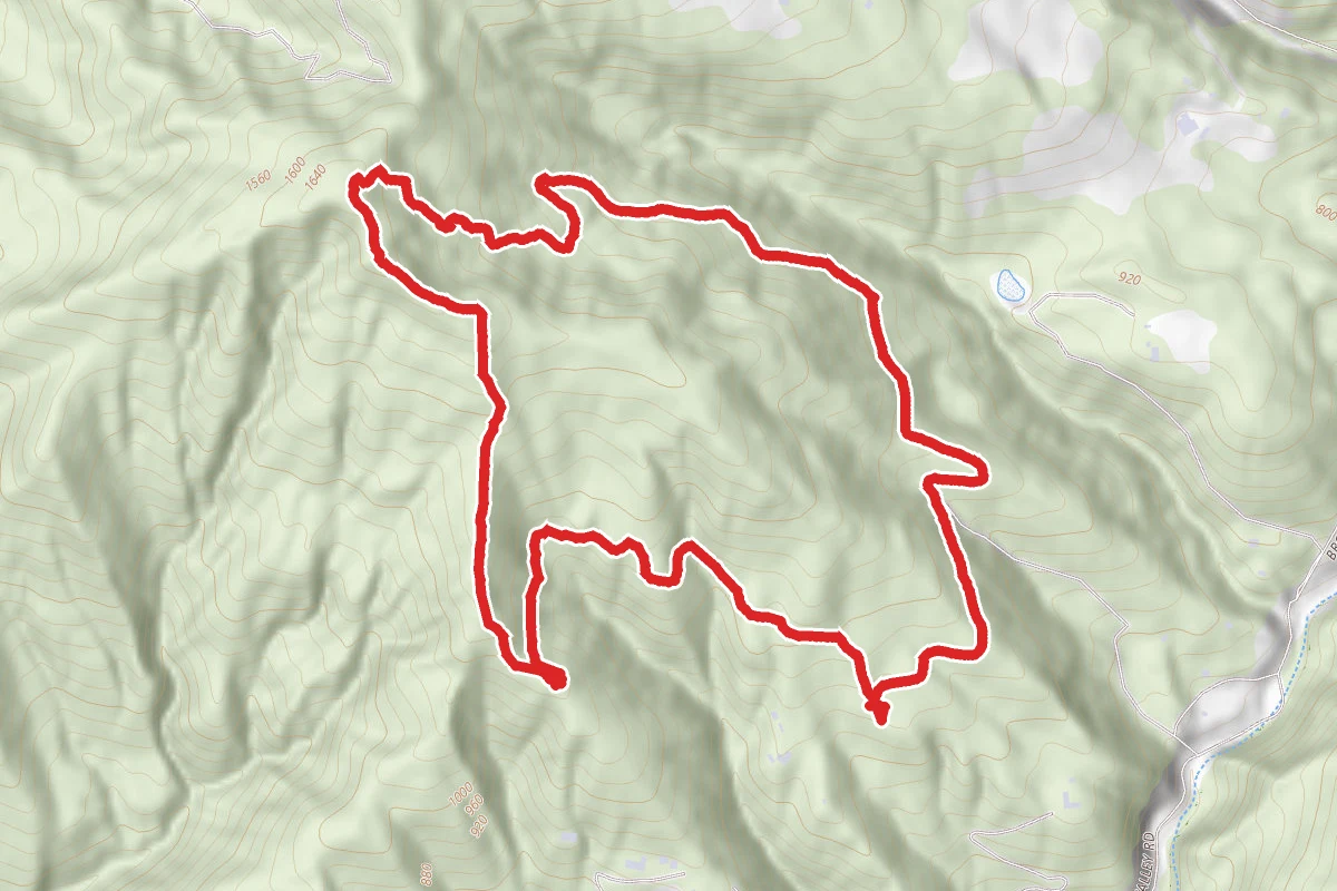 Byrne Trail
