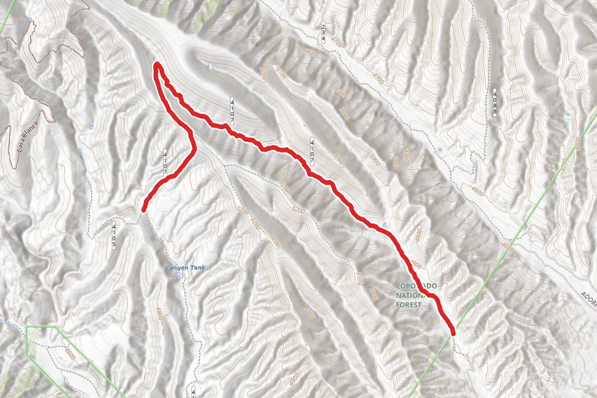 Wood Canyon