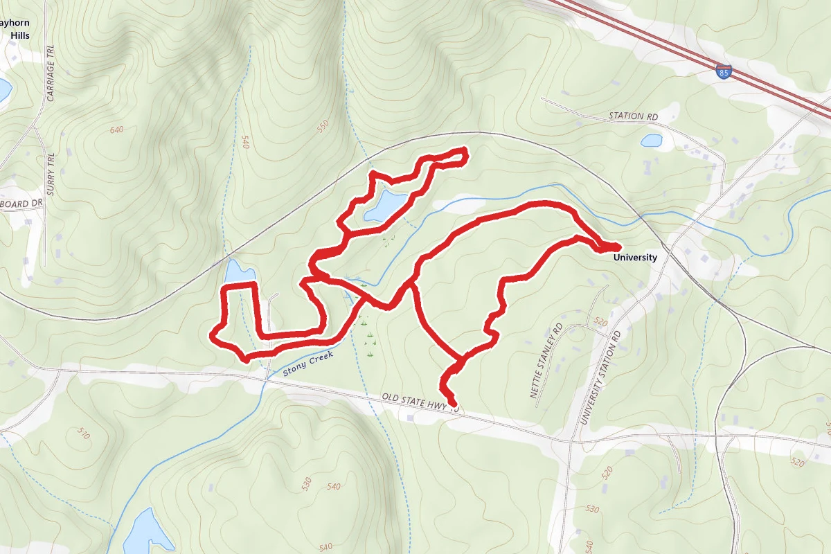 Brumley Forest Nature Preserve North