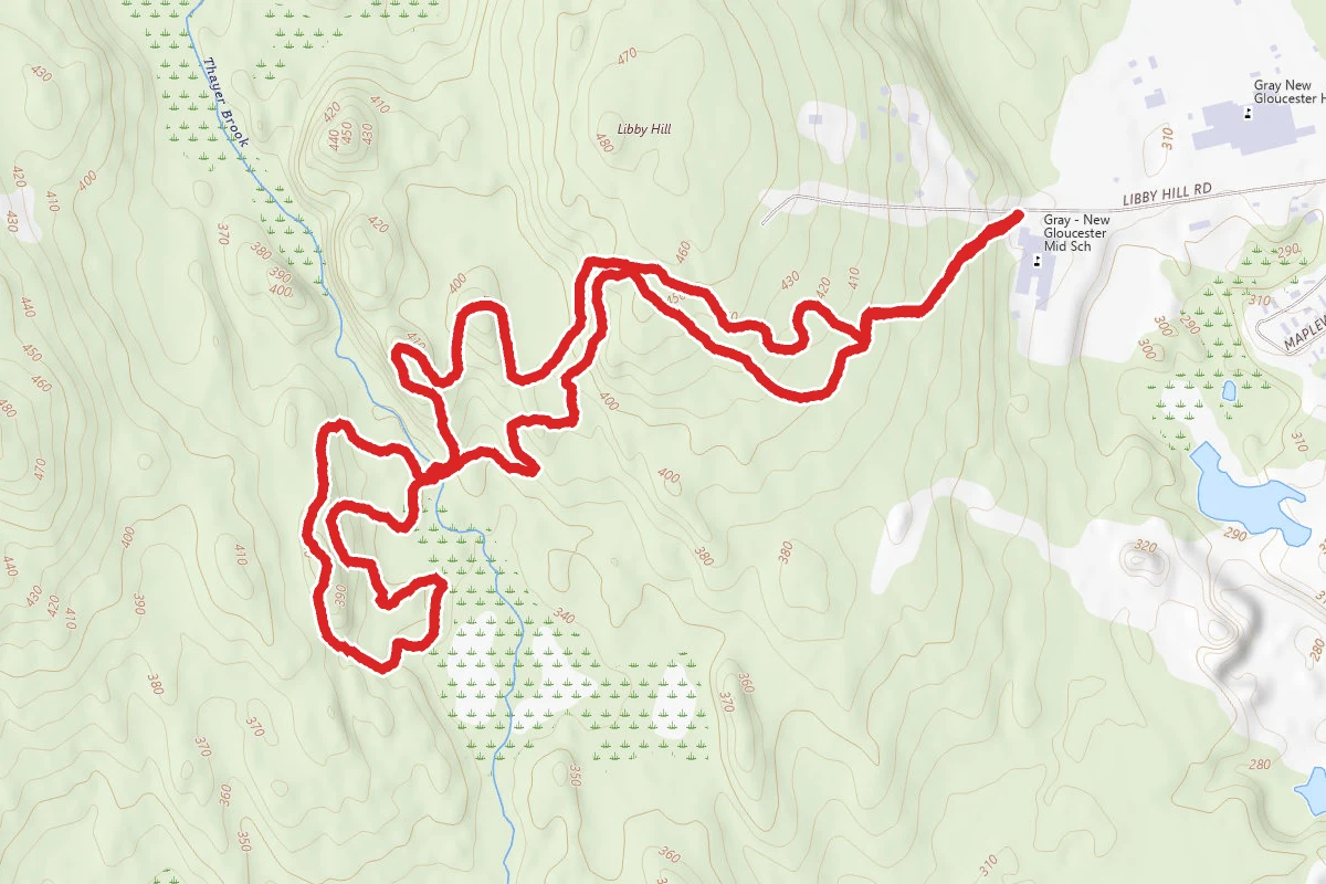 Libby Hill Forest Trails