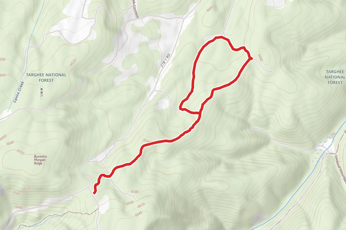 Pine Loop