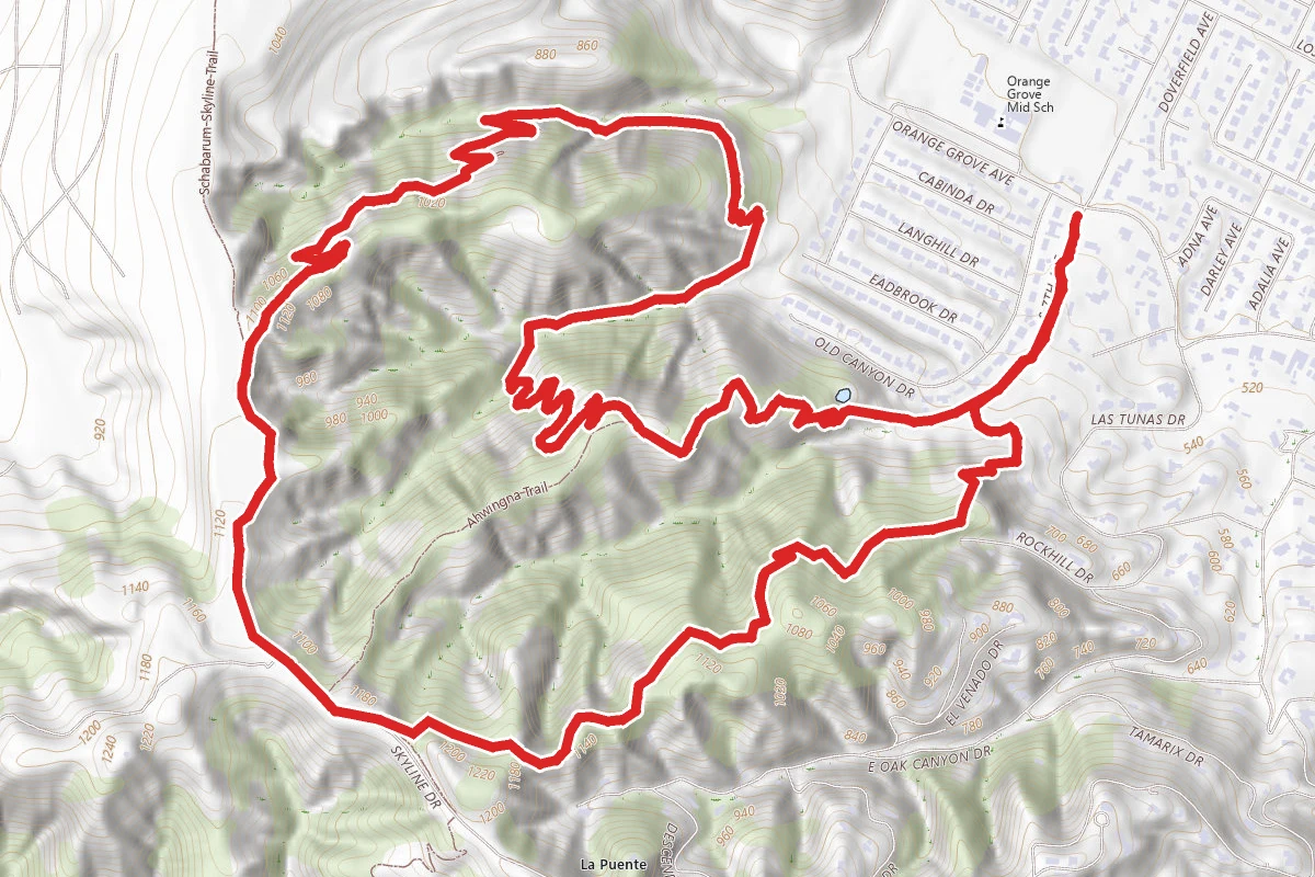 Native Oak Trail to Coyote Trail Loop