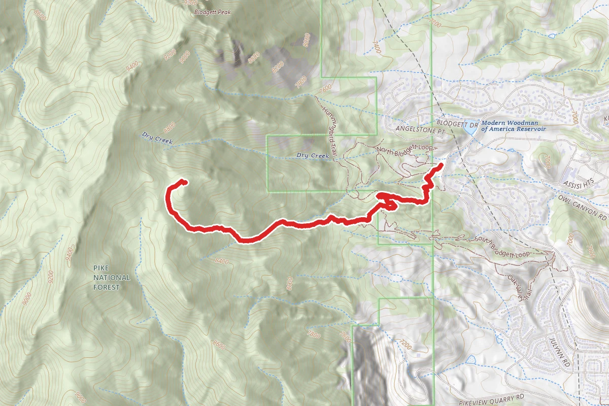 Red Squirrel Trail to Douglas Fir Trail