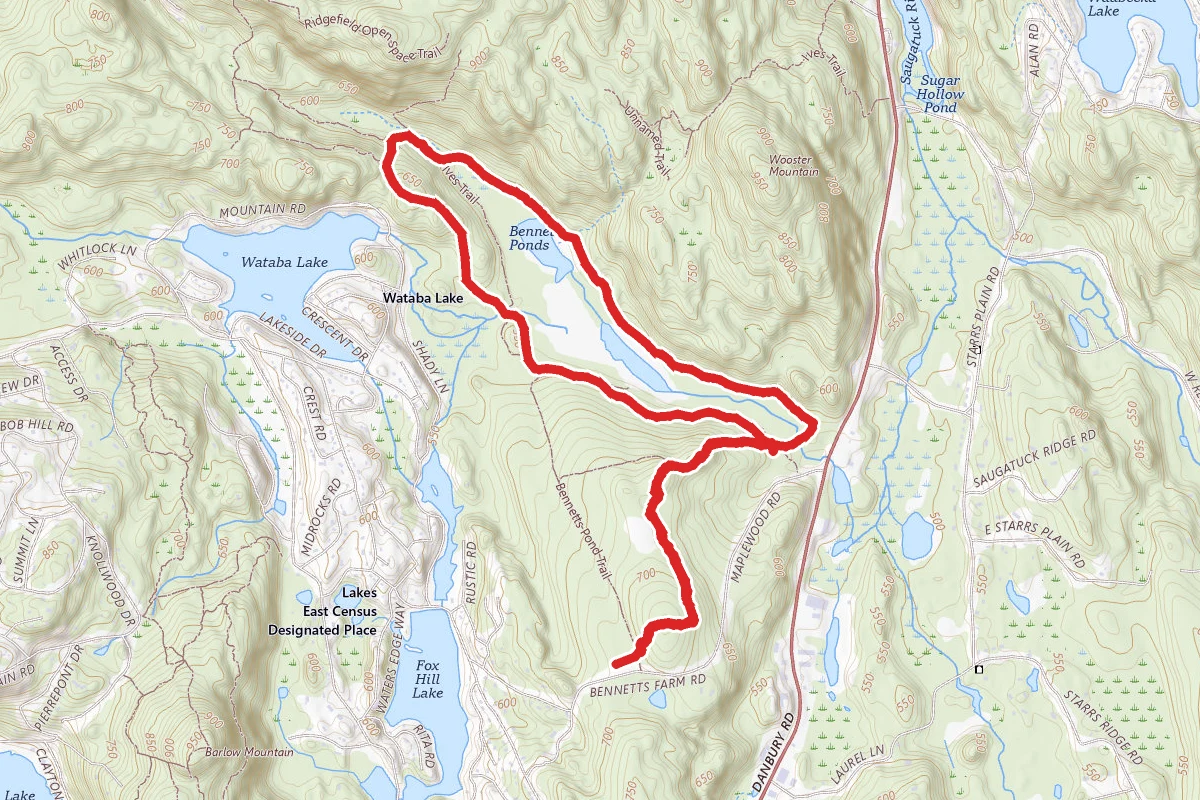Bennetts Pond Loop Trail