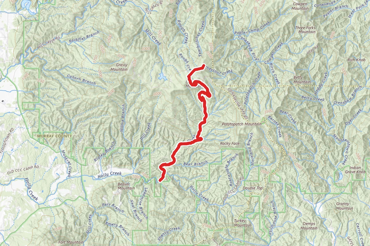 Emery Creek Trail to Bald Mountain