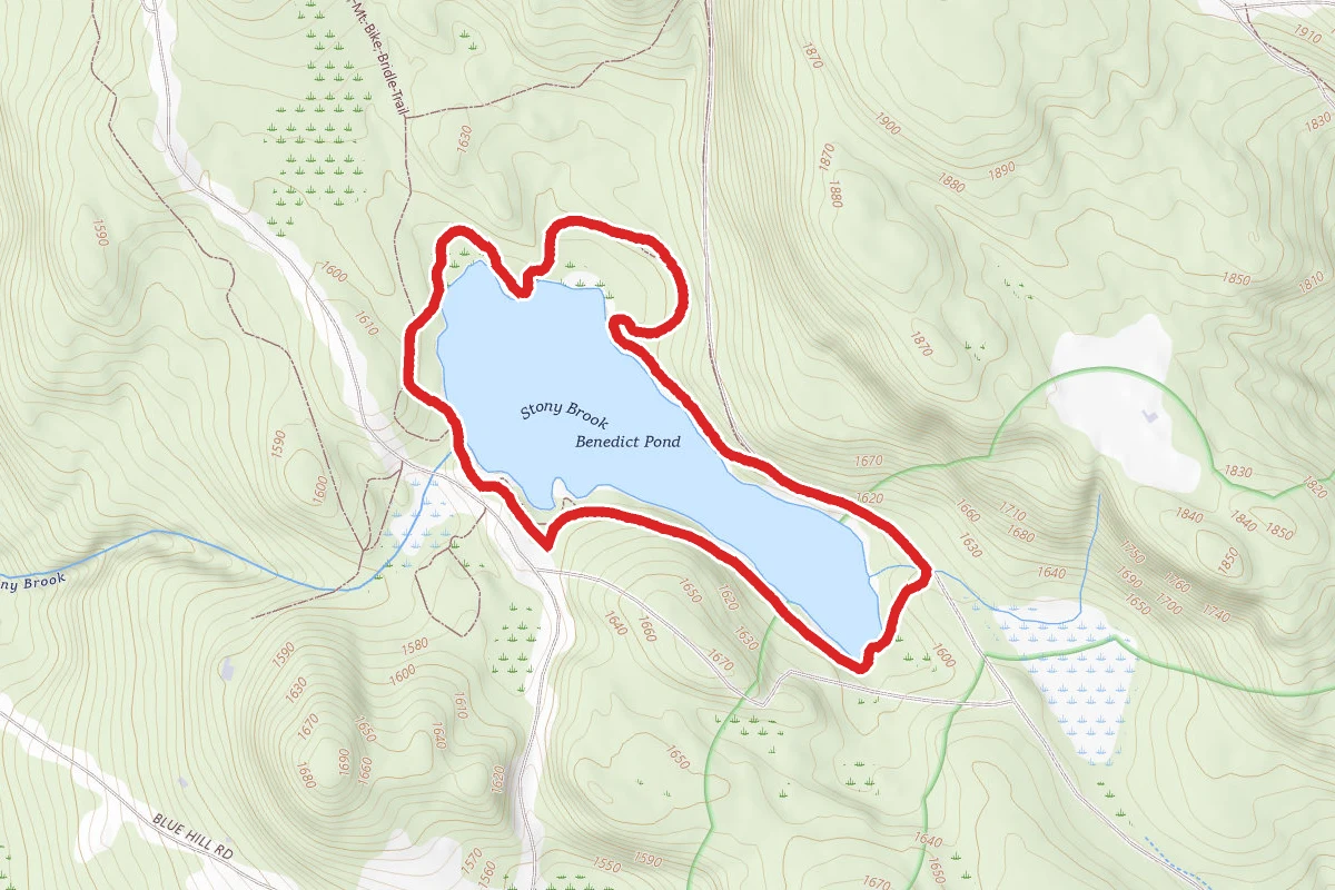 Benedict Pond Loop Trail