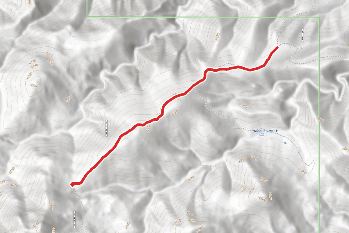 Donovan Ridge