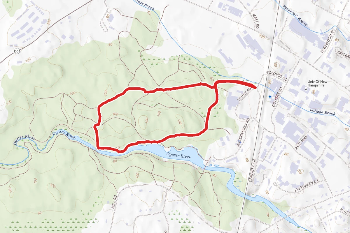 College Woods Natural Area Loop
