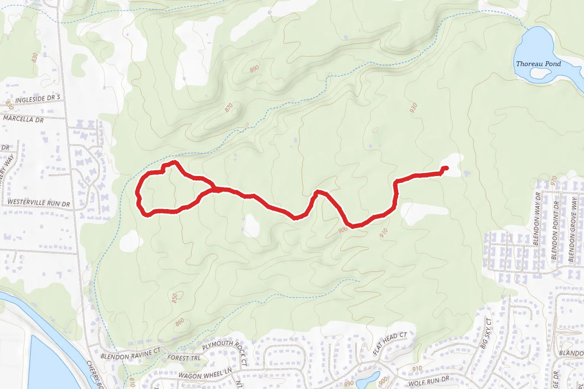 Sugarbush Trail