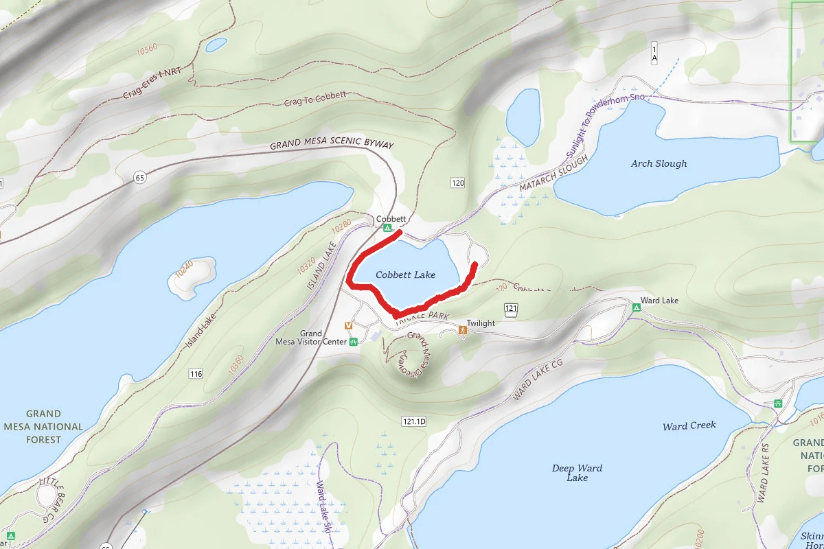 Cobbett Lake Trail