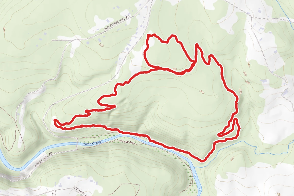 Palmer State Park Yellow Trail Loop