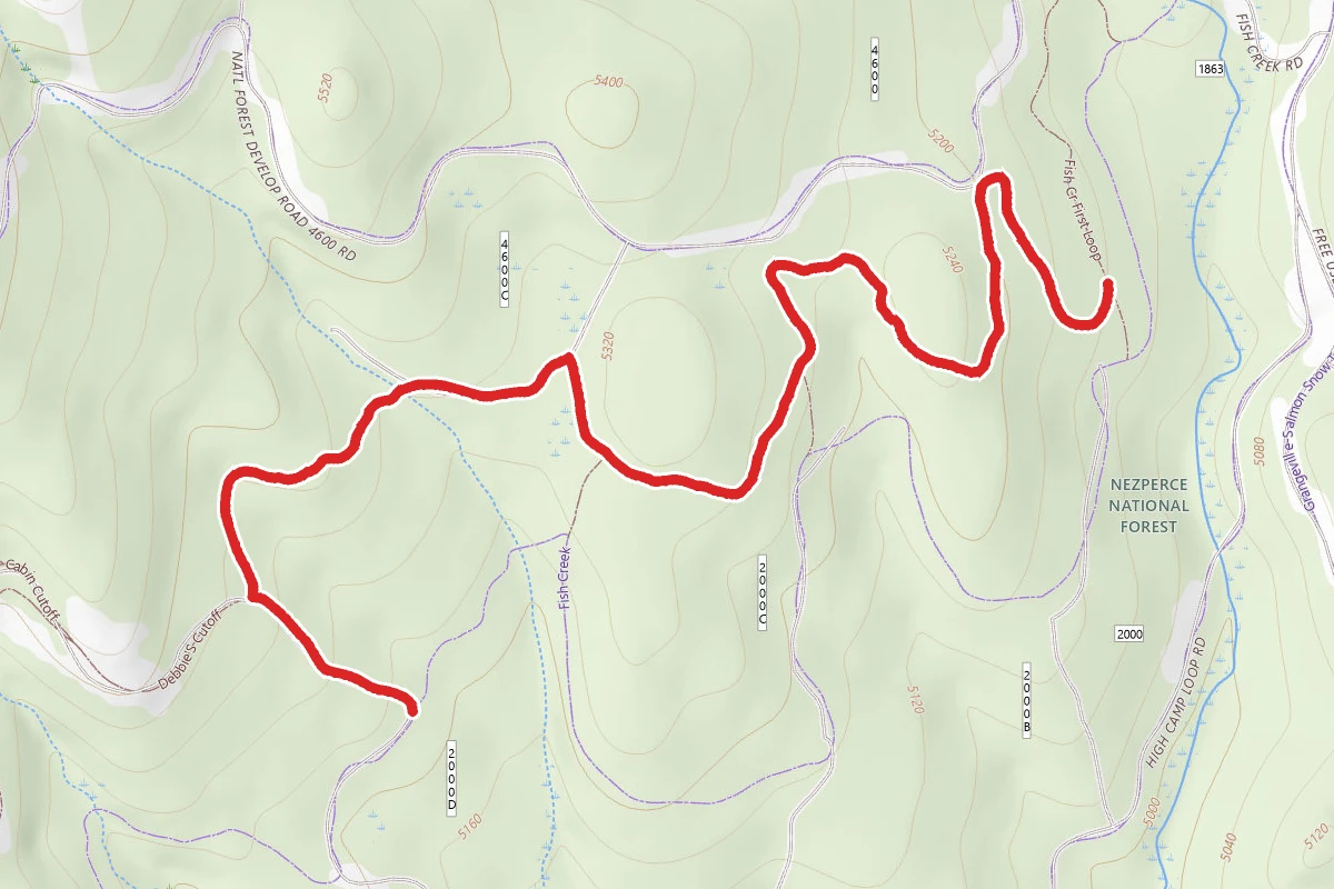 Cabin Trail